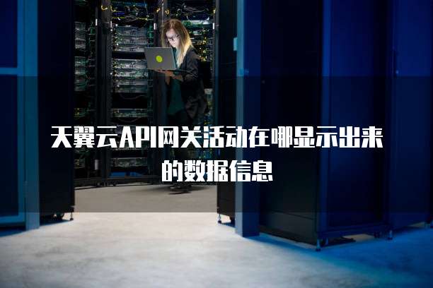 天翼云API网关活动在哪显示出来的数据信息