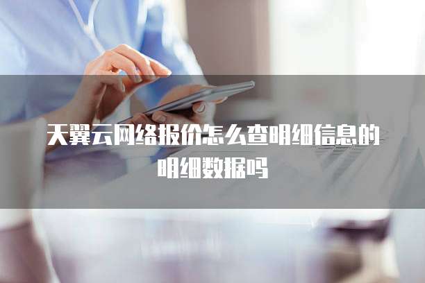 天翼云网络报价怎么查明细信息的明细数据吗