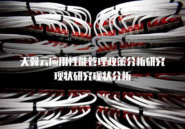 天翼云应用性能管理政策分析研究现状研究现状分析