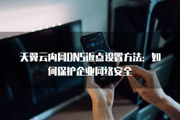 天翼云内网DNS返点设置方法：如何保护企业网络安全
