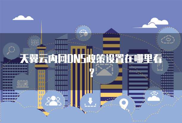 天翼云内网DNS政策设置在哪里看?