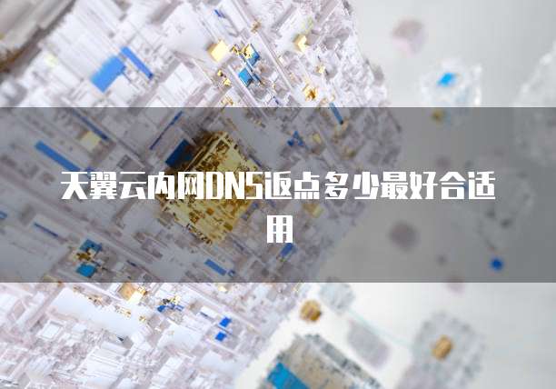 天翼云内网DNS返点多少最好合适用