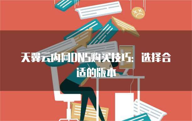 天翼云内网DNS购买技巧:选择合适的版本