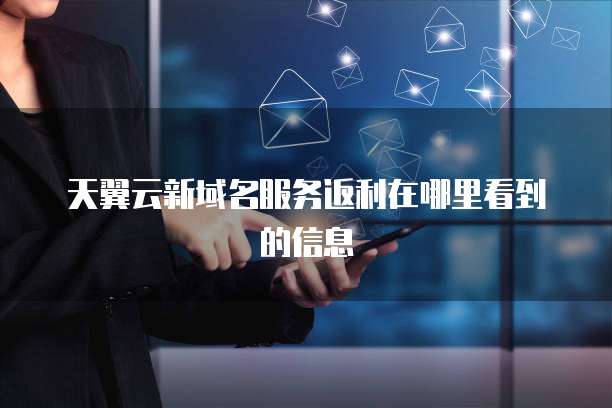 天翼云新域名服务返利在哪里看到的信息