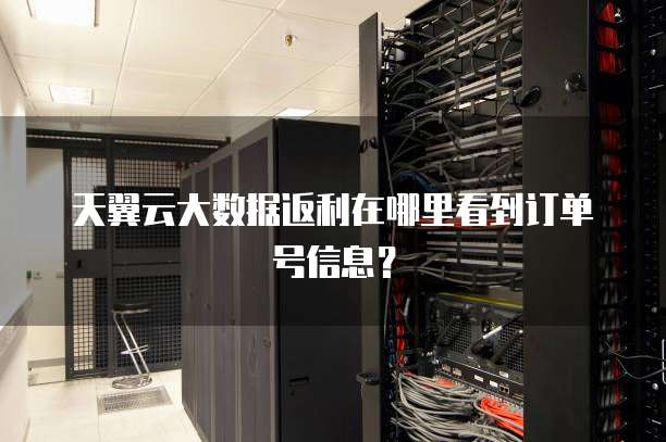 天翼云大数据返利在哪里看到订单号信息?