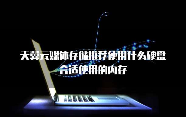 天翼云媒体存储推荐使用什么硬盘合适使用的内存