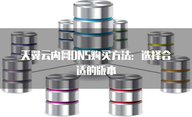 天翼云内网DNS购买方法：选择合适的版本