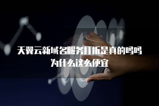 天翼云新域名服务打折是真的吗吗为什么这么便宜