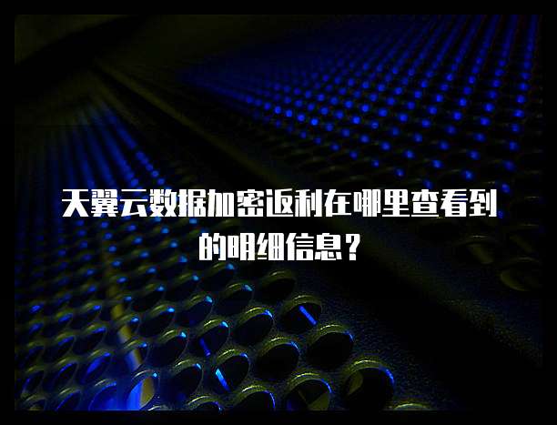 天翼云数据加密返利在哪里查看到的明细信息?