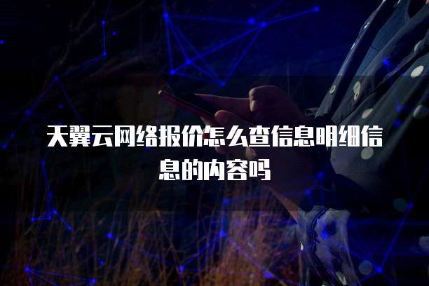 天翼云网络报价怎么查信息明细信息的内容吗