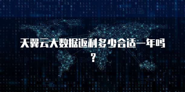 天翼云大数据返利多少合适一年吗?