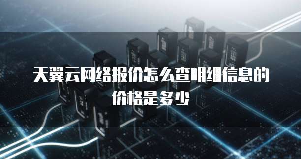 天翼云网络报价怎么查明细信息的价格是多少