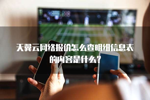 天翼云网络报价怎么查明细信息表的内容是什么?