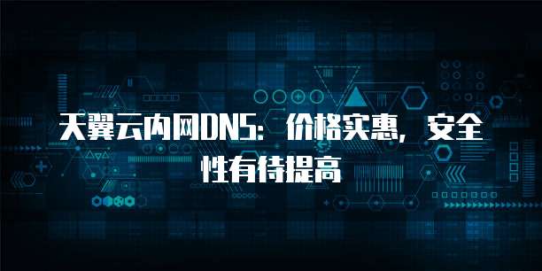 天翼云内网DNS：价格实惠，安全性有待提高
