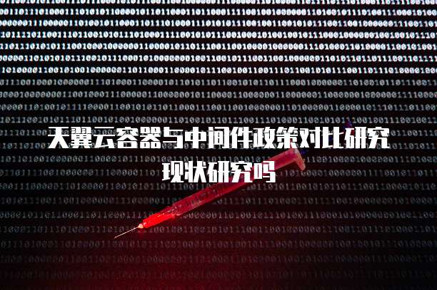 天翼云容器与中间件政策对比研究现状研究吗