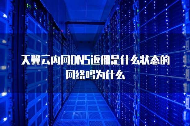 天翼云内网DNS返佣是什么状态的网络吗为什么