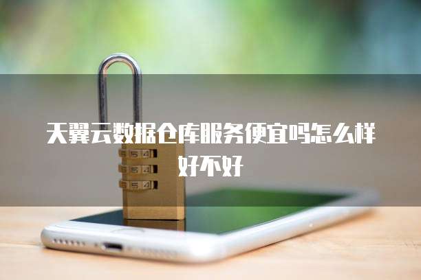 天翼云数据仓库服务便宜吗怎么样好不好