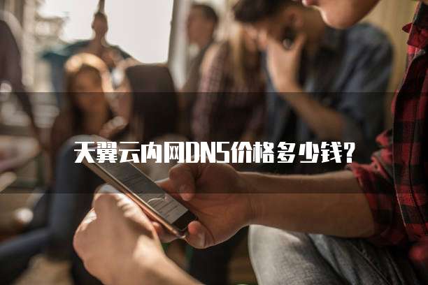 天翼云内网DNS价格多少钱?