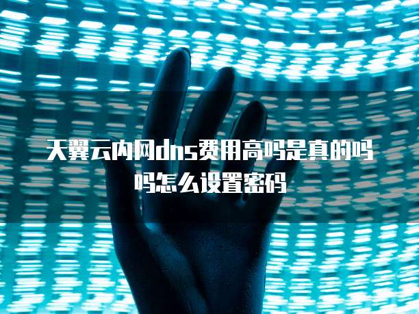 天翼云内网dns费用高吗是真的吗吗怎么设置密码