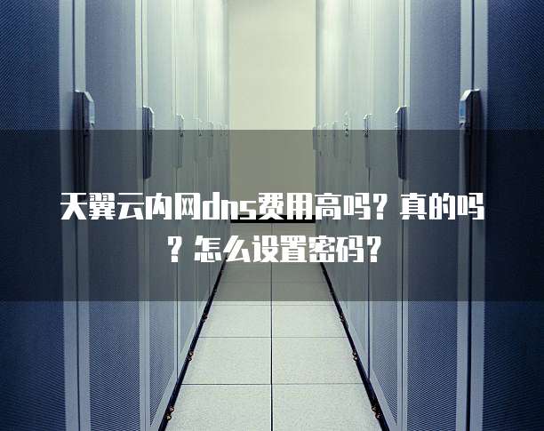 天翼云内网dns费用高吗?真的吗?怎么设置密码?