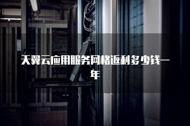 天翼云应用服务网格返利多少钱一年