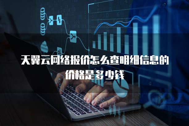 天翼云网络报价怎么查明细信息的价格是多少钱