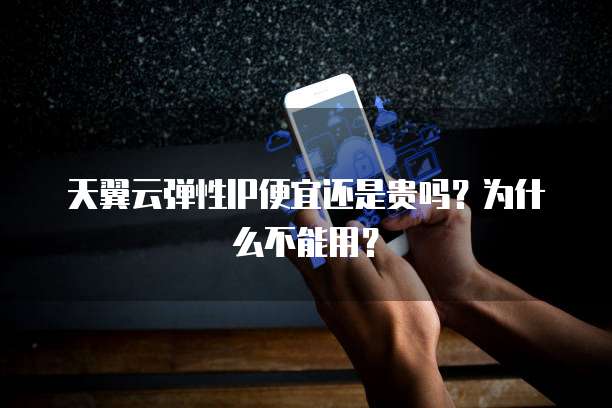 天翼云弹性IP便宜还是贵吗?为什么不能用?