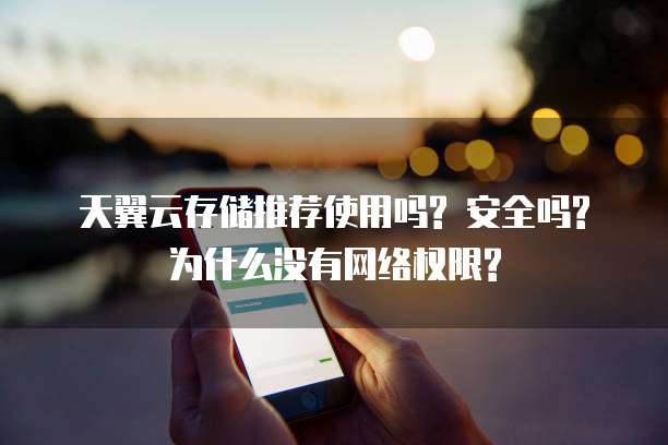 天翼云存储推荐使用吗? 安全吗? 为什么没有网络权限?