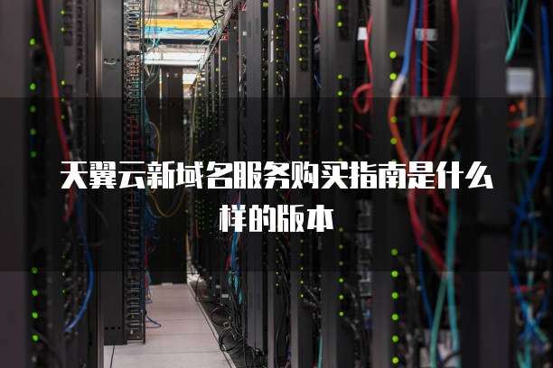 天翼云新域名服务购买指南是什么样的版本