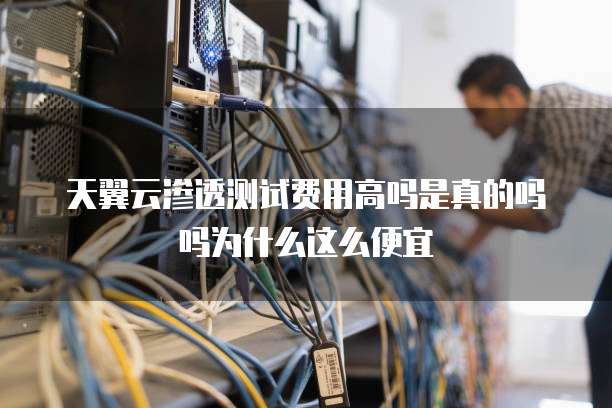天翼云渗透测试费用高吗是真的吗吗为什么这么便宜