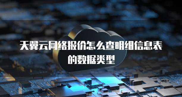 天翼云网络报价怎么查明细信息表的数据类型