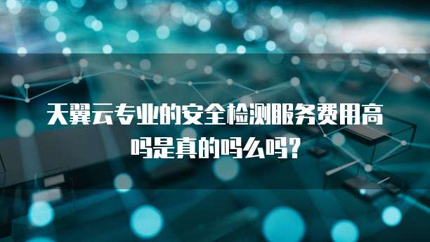 天翼云专业的安全检测服务费用高吗是真的吗么吗?
