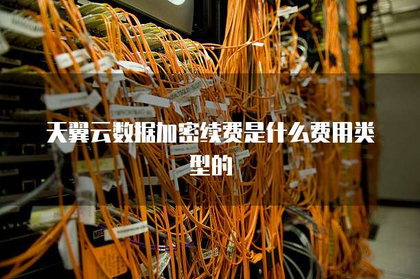 天翼云数据加密续费是什么费用类型的