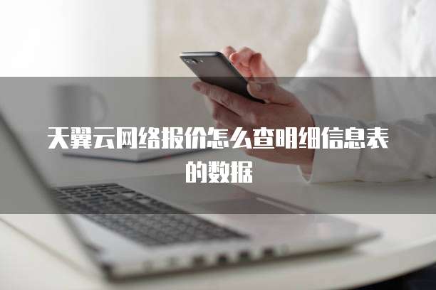 天翼云网络报价怎么查明细信息表的数据