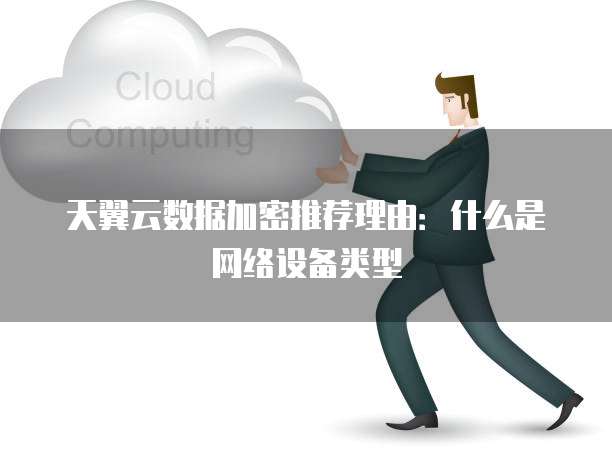 天翼云数据加密推荐理由:什么是网络设备类型
