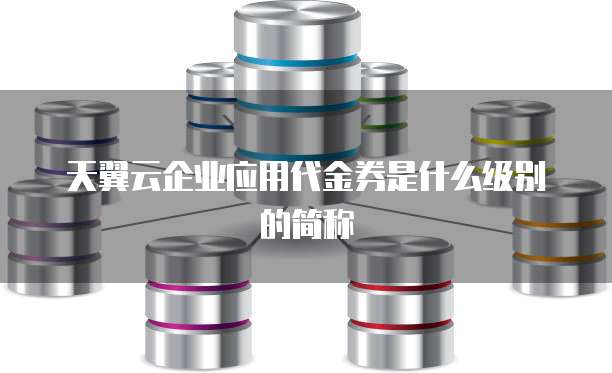 天翼云企业应用代金券是什么级别的简称