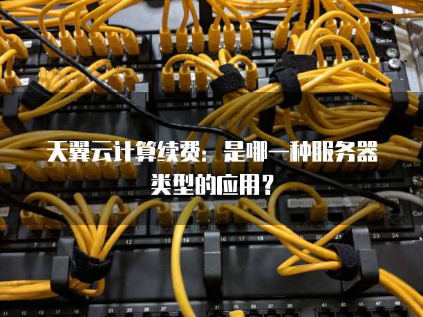 天翼云计算续费:是哪一种服务器类型的应用?