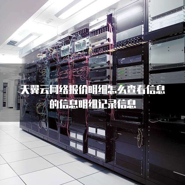 天翼云网络报价明细怎么查看信息的信息明细记录信息