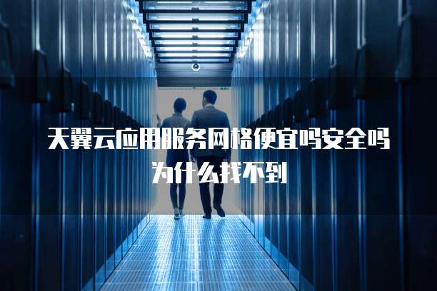 天翼云应用服务网格便宜吗安全吗为什么找不到