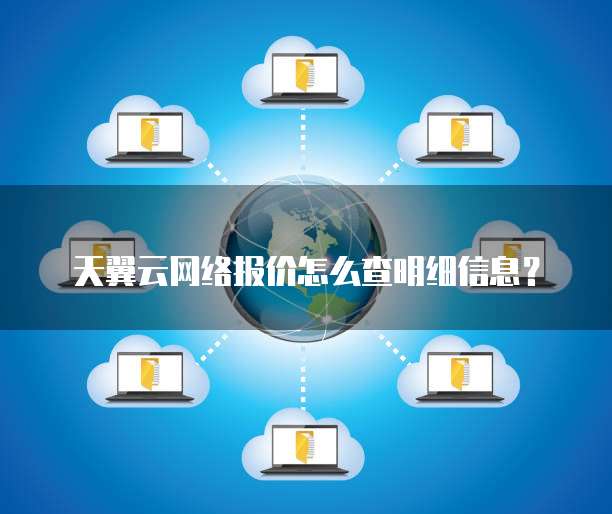 天翼云网络报价怎么查明细信息?