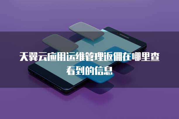 天翼云应用运维管理返佣在哪里查看到的信息