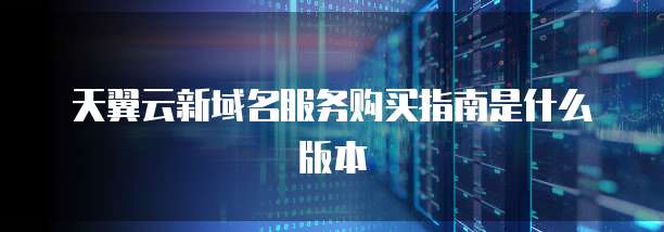 天翼云新域名服务购买指南是什么版本
