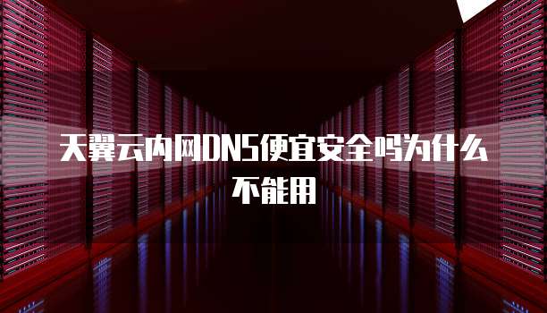 天翼云内网DNS便宜安全吗为什么不能用