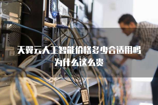 天翼云人工智能价格多少合适用吗为什么这么贵