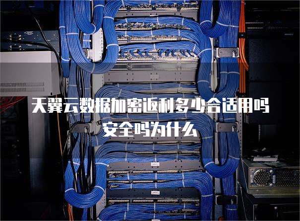 天翼云数据加密返利多少合适用吗安全吗为什么