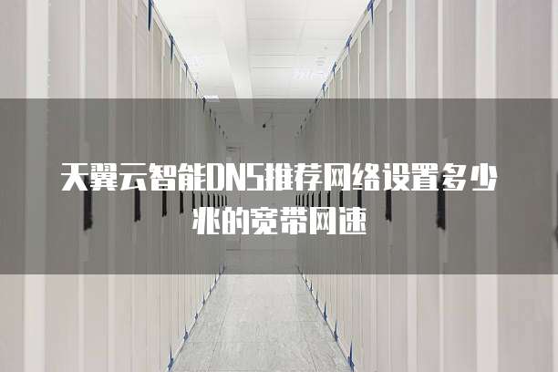 天翼云智能DNS推荐网络设置多少兆的宽带网速