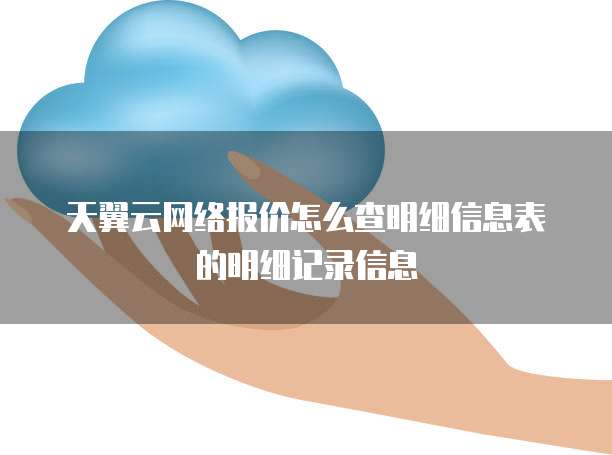 天翼云网络报价怎么查明细信息表的明细记录信息