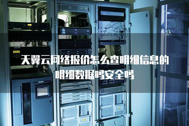 天翼云网络报价怎么查明细信息的明细数据吗安全吗