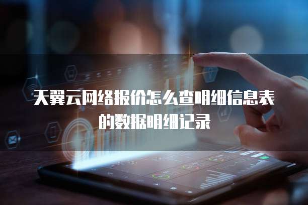 天翼云网络报价怎么查明细信息表的数据明细记录