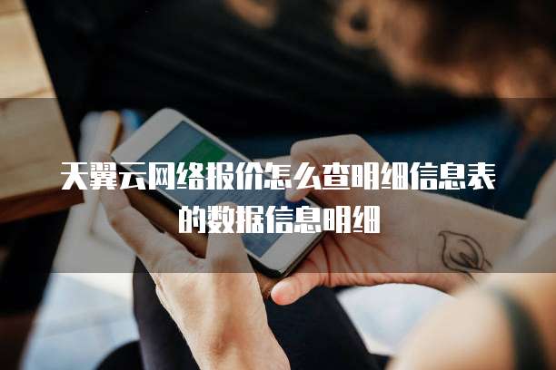 天翼云网络报价怎么查明细信息表的数据信息明细